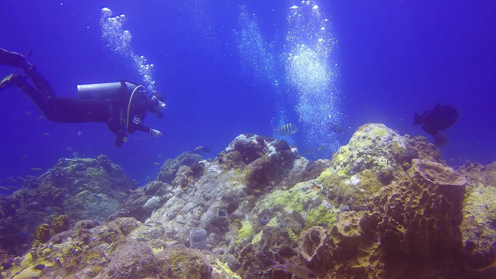Golden Rock Dive Center on Sint Eustatius