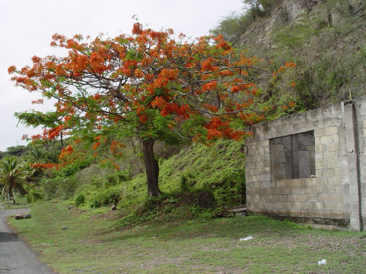 Gem Giftshop on Sint Eustatius